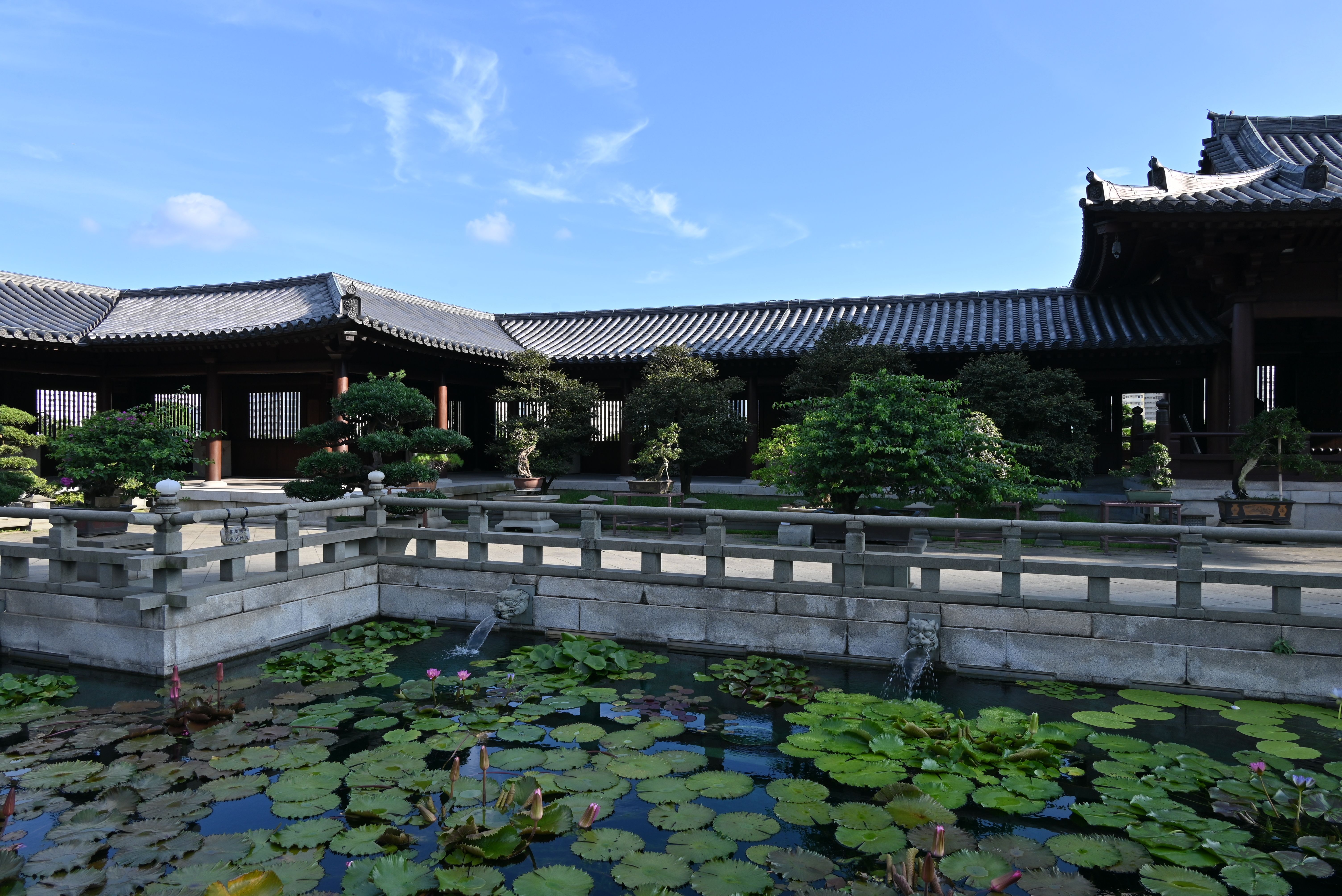 岭南大学校园湖畔景观